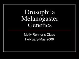 Drosophila Melanogaster Genetics