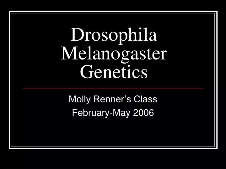 drosophila melanogaster genetics