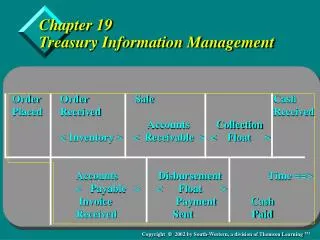 Chapter 19 Treasury Information Management