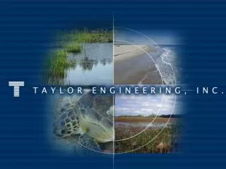 Coastal Processes Analysis for Vilano Beach, St. Johns County, FL Taylor Engineering, Inc.