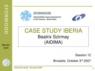 CASE STUDY IBERIA Beatrix Szirmay (AIDIMA)