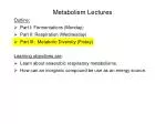 Metabolism Lectures - slide 1