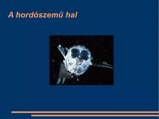a hord szem hal