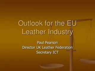 Outlook for the EU Leather Industry