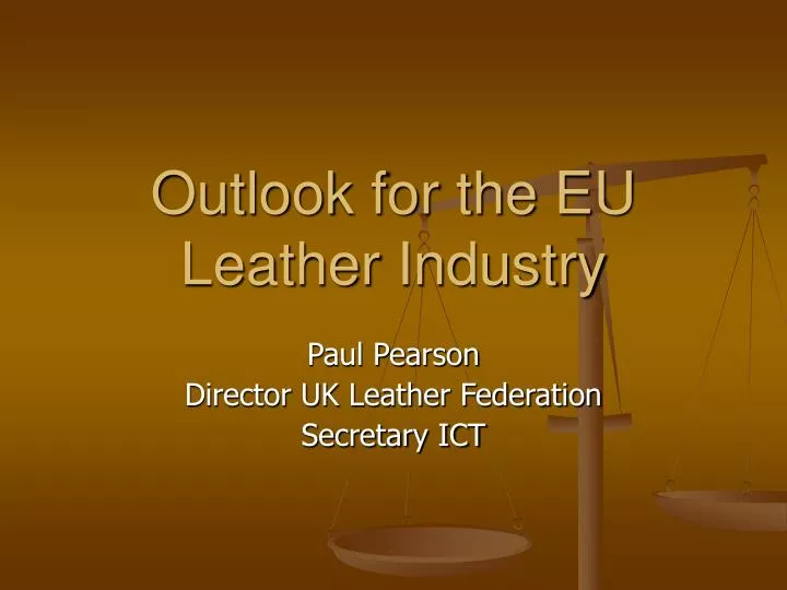 outlook for the eu leather industry