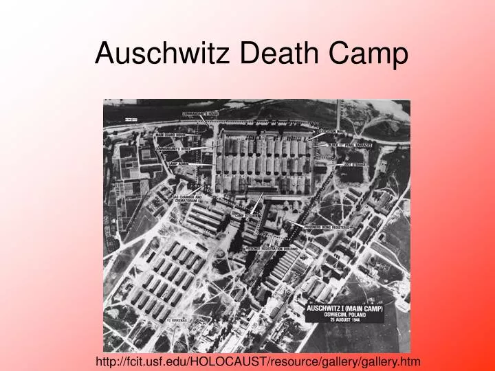 auschwitz death camp