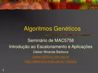 algoritmos gen ticos
