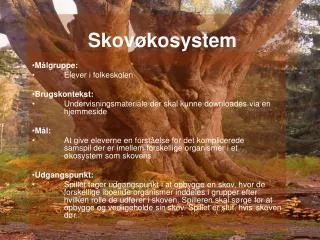 skov kosystem
