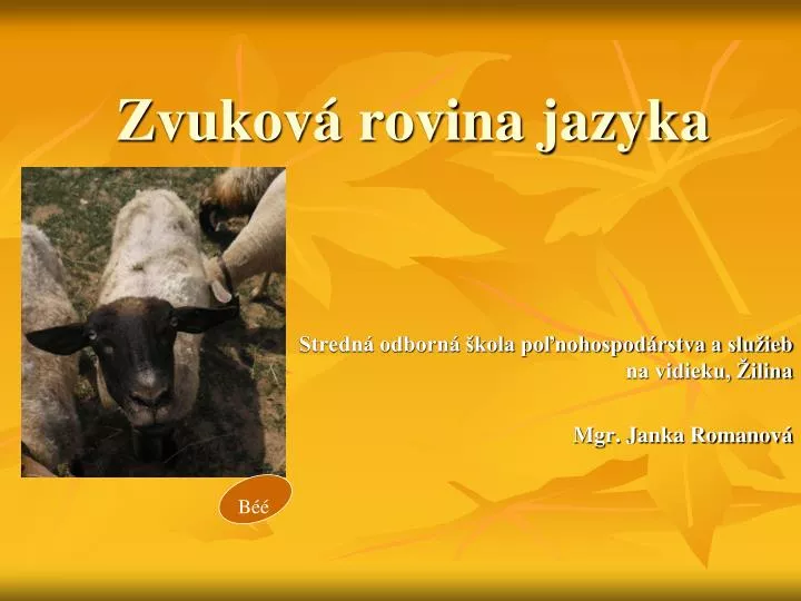 zvukov rovina jazyka