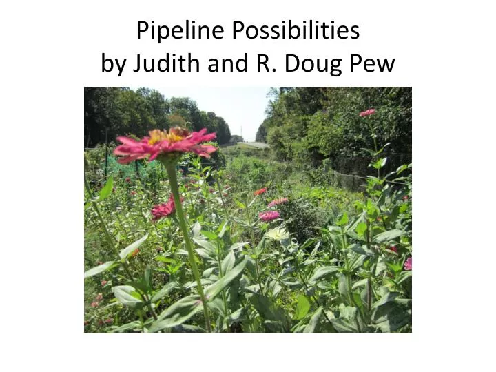 pipeline possibilities by judith and r doug pew