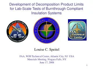 Louise C. Speitel FAA, WJH Technical Center, Atlantic City, NJ USA