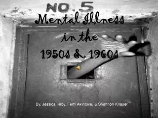 Mental Illness in the 1950s &amp; 1960s