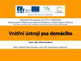 vnit n stroj psa dom c ho