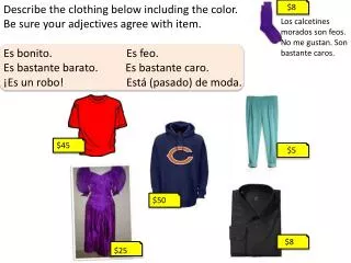 Describe the clothing below including the color. Be sure your adjectives agree with item.
