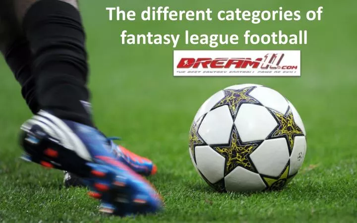 the different categories of fantasy league football