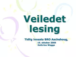 veiledet lesing