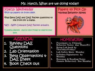 AGENDA: Review DAE Questions Lab Orientation Beta Observations &amp; DAE Sheet Book Check out