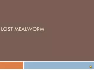 Lost mealworm