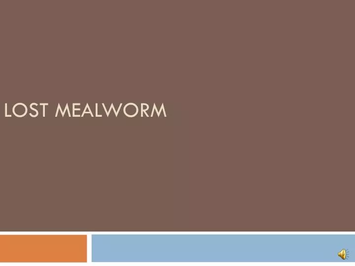 lost mealworm
