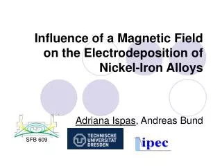 Influence of a Magnetic Field on the Electrodeposition of Nickel-Iron Alloys