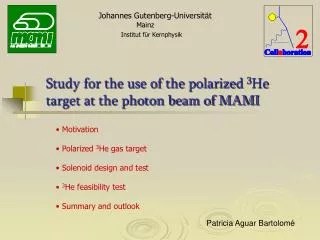 Motivation Polarized 3 He gas target Solenoid design and test 3 He feasibility test