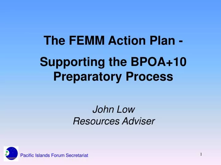 the femm action plan supporting the bpoa 10 preparatory process john low resources adviser