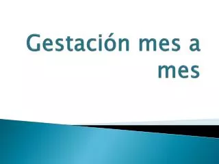 gestaci n mes a mes