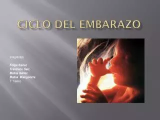 ciclo del embarazo