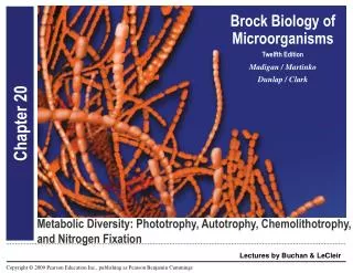 Metabolic Diversity: Phototrophy, Autotrophy, Chemolithotrophy, and Nitrogen Fixation