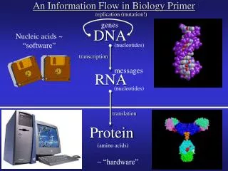 DNA