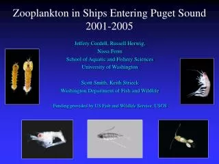 Zooplankton in Ships Entering Puget Sound 2001-2005