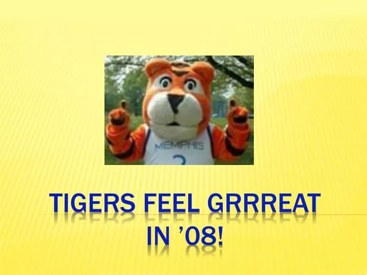 tigers feel grrreat in 08