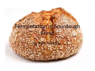 Fermentation of Sourdough Bread