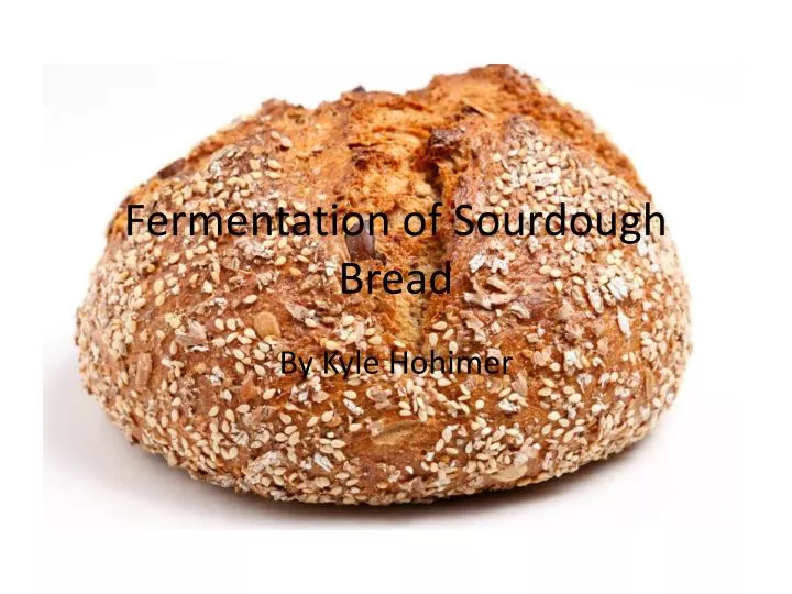 fermentation of sourdough bread