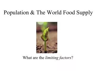 Population &amp; The World Food Supply