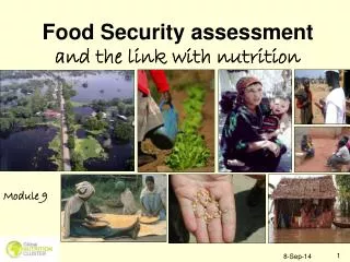 Food Security assessment and the link with nutrition