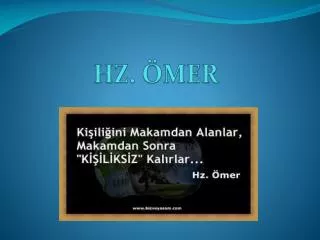 hz mer