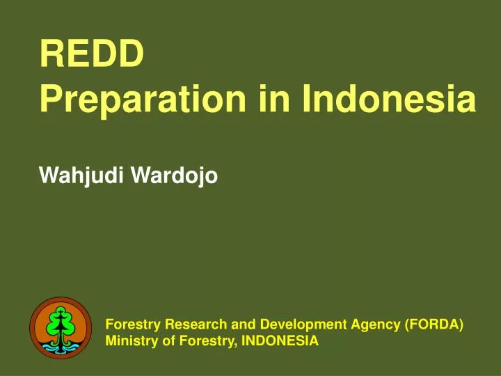 redd preparation in indonesia wahjudi wardojo