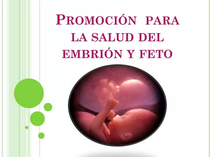 promoci n para la salud del embri n y feto