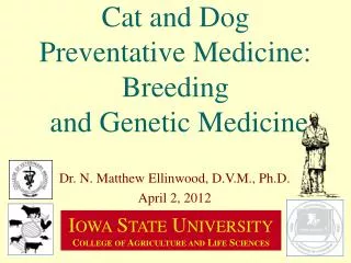 Cat and Dog Preventative Medicine: Breeding and Genetic Medicine