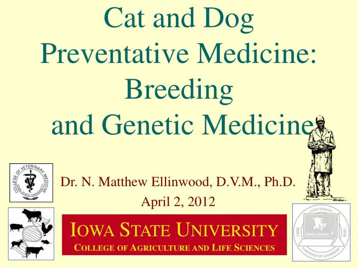 cat and dog preventative medicine breeding and genetic medicine