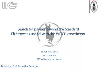 Search for physics beyond the Standard Electroweak model with the WITCH experiment