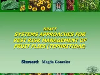 DRAFT SYSTEMS APPROACHES FOR PEST RISK MANAGEMENT OF FRUIT FLIES (TEPHRITIDAE )