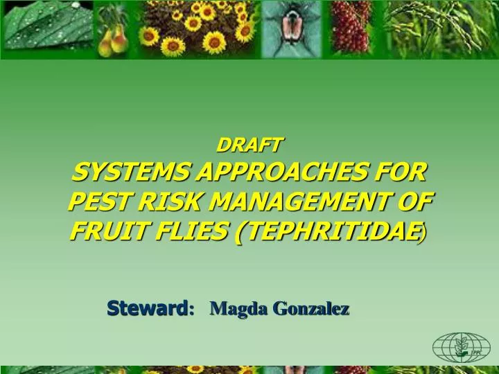 draft systems approaches for pest risk management of fruit flies tephritidae