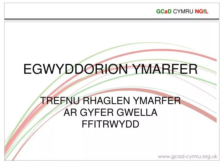 egwyddorion ymarfer