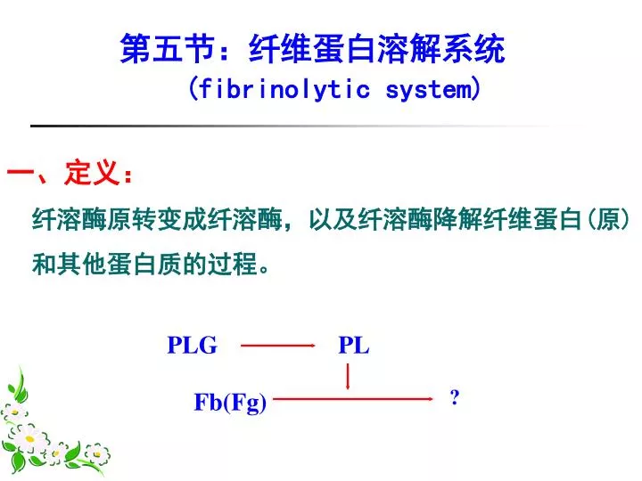 fibrinolytic system