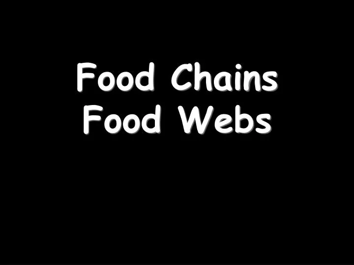 food chains food webs