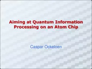 Aiming at Quantum Information Processing on an Atom Chip
