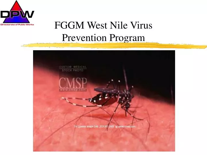 fggm west nile virus prevention program