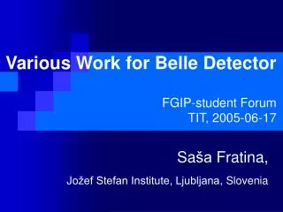 Various Work for Belle Detector FGIP-student Forum TIT, 2005-06-17